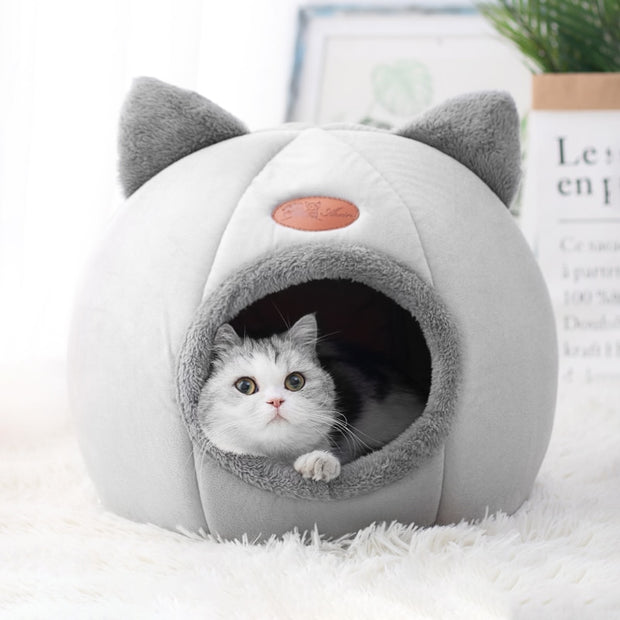 "Create an Indoor Pet Haven for your beloved furry friend, offering comfort, security, and endless opportunities for relaxation and play."