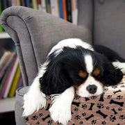 "Fast-Absorbing Reusable Pet Mats: Keep your floors clean with these quick-drying mats, perfect for your pet's spills and accidents."