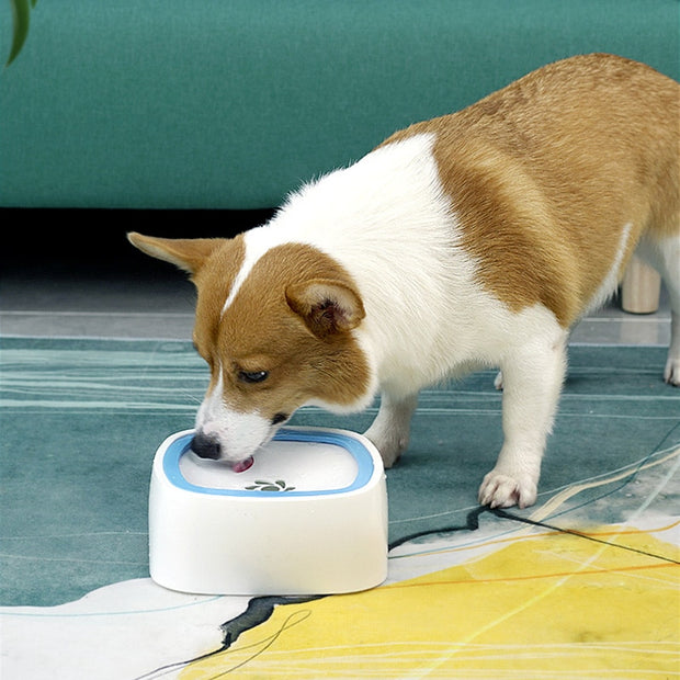 "Mess-Free Dog Water Bowl: Keep your space clean with this spill-proof solution for your furry friend's hydration needs."