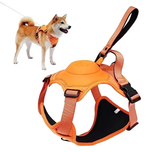 All-in-One Dog Walking Gear - Essential Accessories for Pet Owners on the Go.