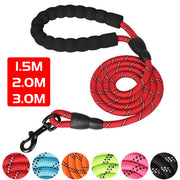 Reflective Strong Dog Leash, a reliable and highly visible leash designed to ensure safety during dog walks, especially in low light conditions. It features reflective strips for enhanced visibility and is crafted for durability, providing peace of mind for pet owners.