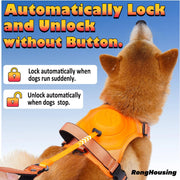 All-in-One Dog Walking Gear - Essential Accessories for Pet Owners on the Go.