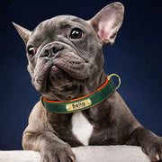 Custom Leather ID Dog Collar - Sara closet