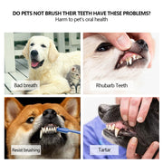 "Triple-Angle Pet Dental Brush: Effortlessly clean your pet's teeth from all angles with this innovative dental care tool."