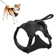 All-in-One Dog Walking Gear - Essential Accessories for Pet Owners on the Go.