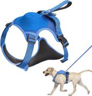 All-in-One Dog Walking Gear - Essential Accessories for Pet Owners on the Go.