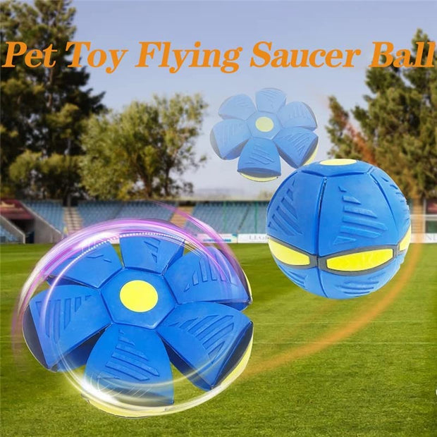 "Flying Saucer Ball Toys For Dog: Interactive playtime fun that engages your canine companion's agility and energy for boundless excitement."