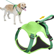 All-in-One Dog Walking Gear - Essential Accessories for Pet Owners on the Go.