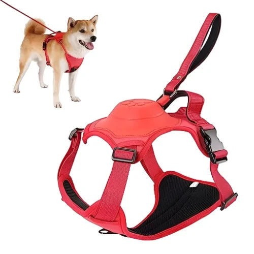 All-in-One Dog Walking Gear - Essential Accessories for Pet Owners on the Go.