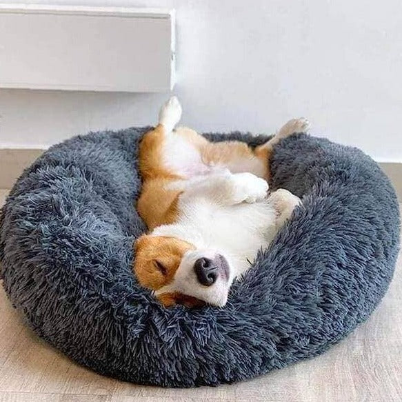 "Anti-Anxiety Calming Dog Bed: Provide comfort and relief to your furry friend with this soothing retreat designed to ease anxiety."