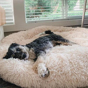 "Anti-Anxiety Calming Dog Bed: Provide comfort and relief to your furry friend with this soothing retreat designed to ease anxiety."