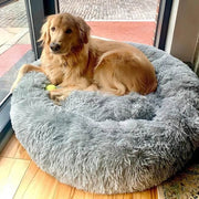 "Anti-Anxiety Calming Dog Bed: Provide comfort and relief to your furry friend with this soothing retreat designed to ease anxiety."