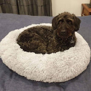 "Anti-Anxiety Calming Dog Bed: Provide comfort and relief to your furry friend with this soothing retreat designed to ease anxiety."