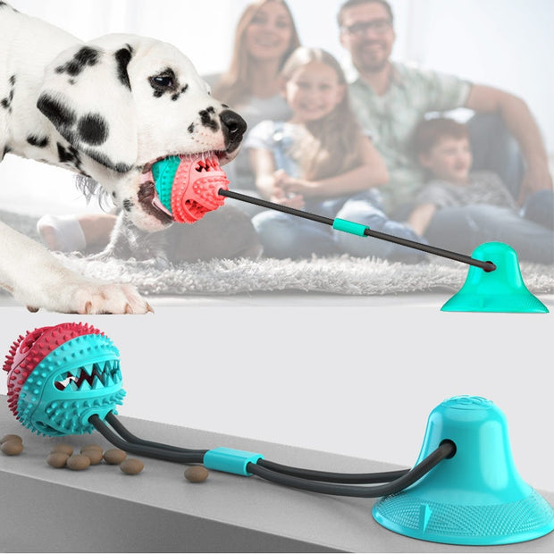 "Pet Donut Interactive Play Toy: Engage your furry friend with this adorable donut-shaped toy for endless interactive play and entertainment."
