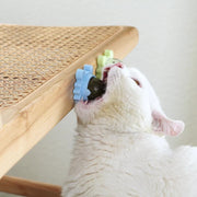 "Pet Catnip Healthy Toys: Entertain your feline friend with natural catnip-infused toys for hours of healthy play and relaxation."