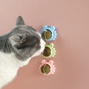 "Pet Catnip Healthy Toys: Entertain your feline friend with natural catnip-infused toys for hours of healthy play and relaxation."