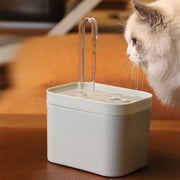 "Pet Water Fountain: Ensure your furry friend stays hydrated with this convenient and flowing water source."