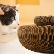 "Magic Organ Cat Scratching Board: Keep your furniture safe while providing your cat with a satisfying scratching experience with this innovative and stylish board."