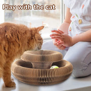 "Magic Organ Cat Scratching Board: Keep your furniture safe while providing your cat with a satisfying scratching experience with this innovative and stylish board."