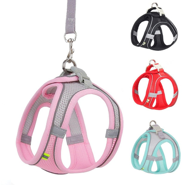 "Puppy Adjustable Vest Harness: Secure and comfortable vest-style harness for puppies, featuring adjustable straps for a custom fit and safety."