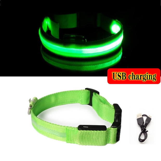 "Puppies LED Dog Collar: Ensure your furry friend's safety and visibility with this stylish and practical LED collar for nighttime walks."