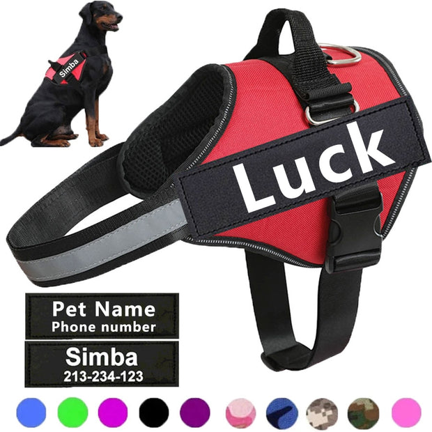 "Personalized No Pull Dog Harness: Custom-fit solution for comfortable walks with your furry companion, without the hassle of pulling."